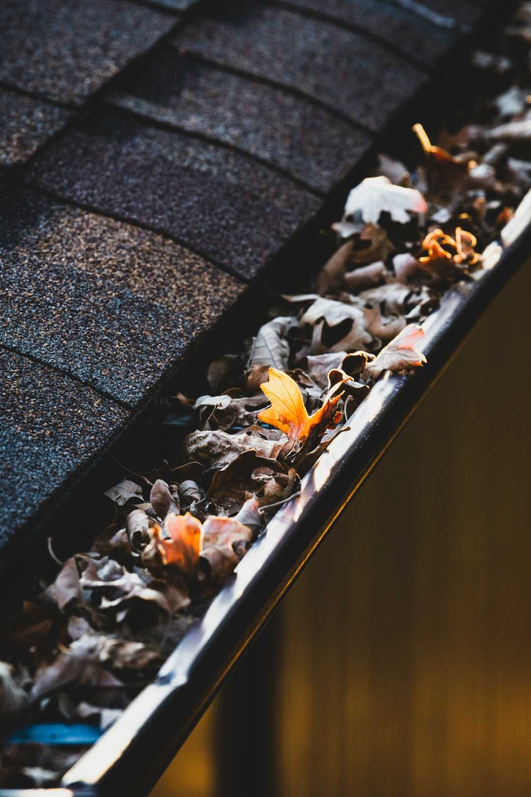 Professional Gutter Cleaning Service